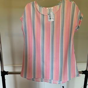 Pink and blue striped blouse